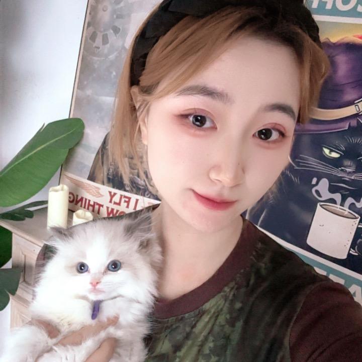 魅宠猫舍直播号