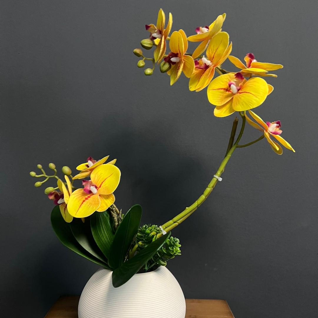 北京隅憩健康管理有限公司