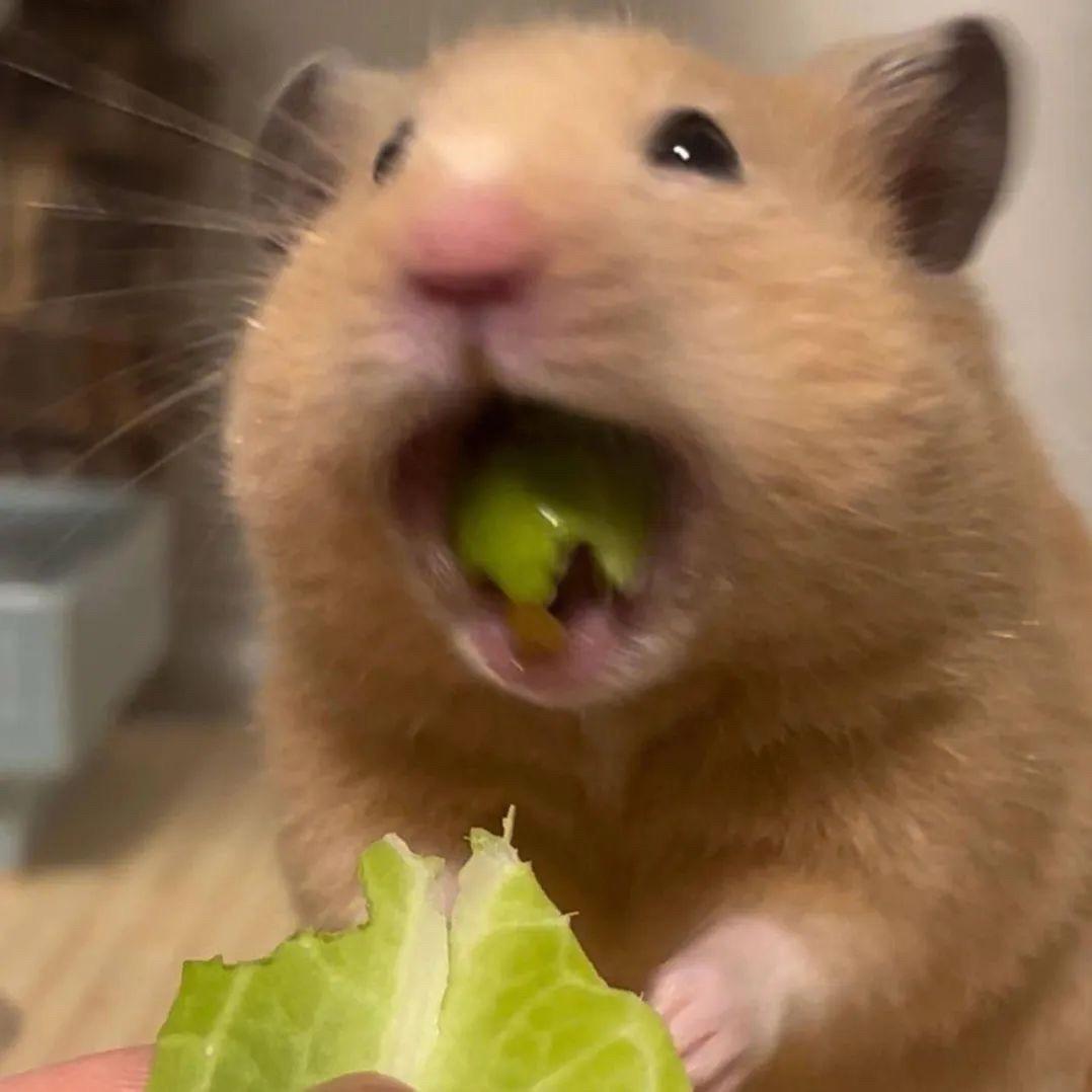 闹嘛了