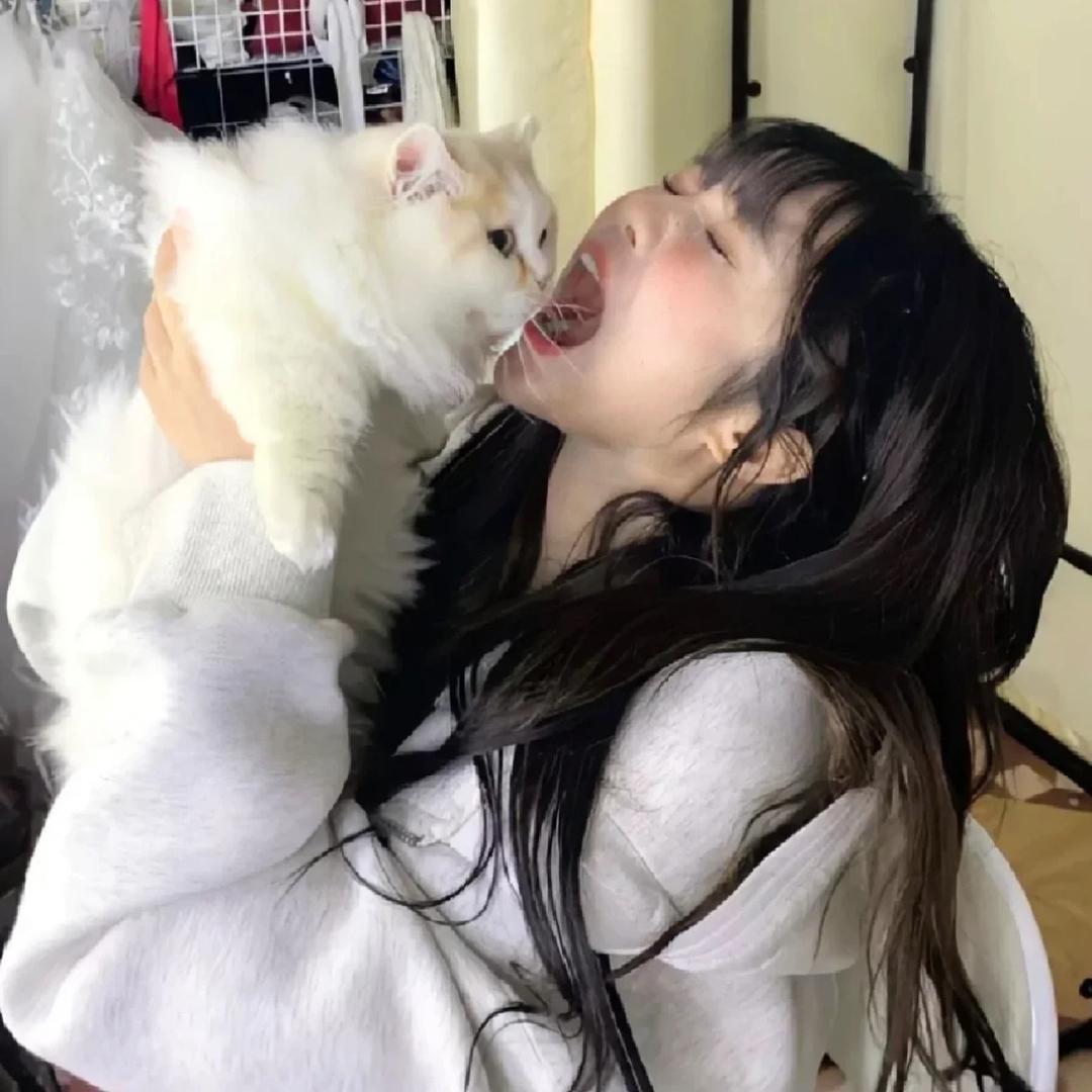 小新不吃青椒