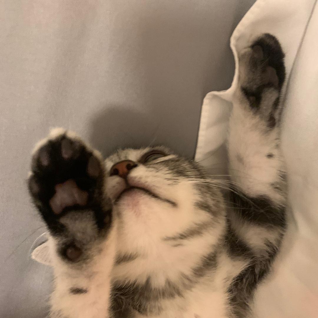 真系好中意训觉