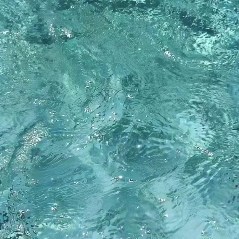 宝力豪游泳教练fan