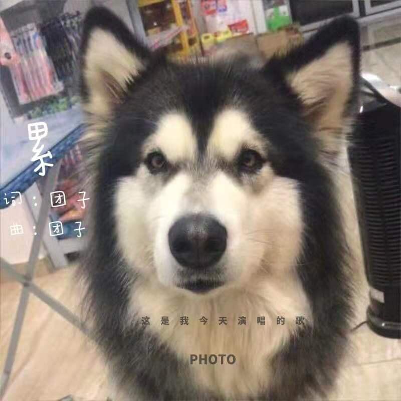 🌈🌈与时间为邻🌈