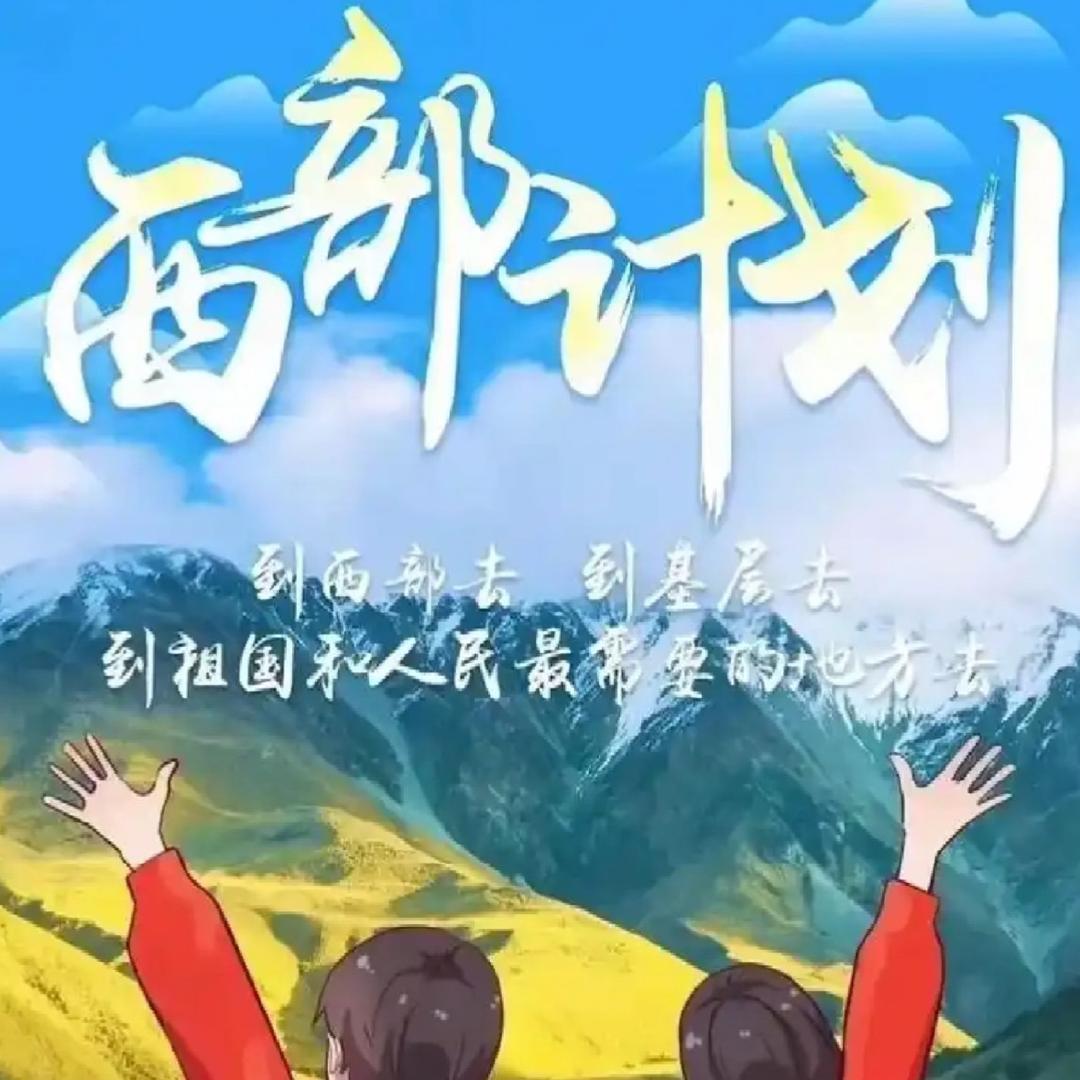 志愿星光跨境团队