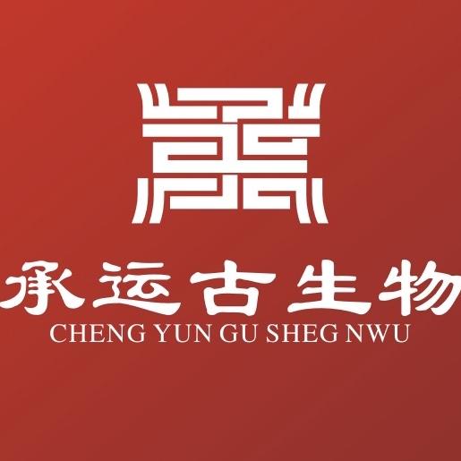 承运地质标本古生物工艺品