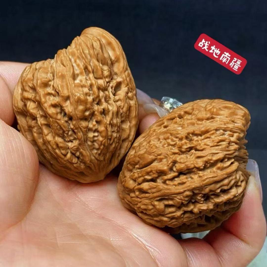 战地南将