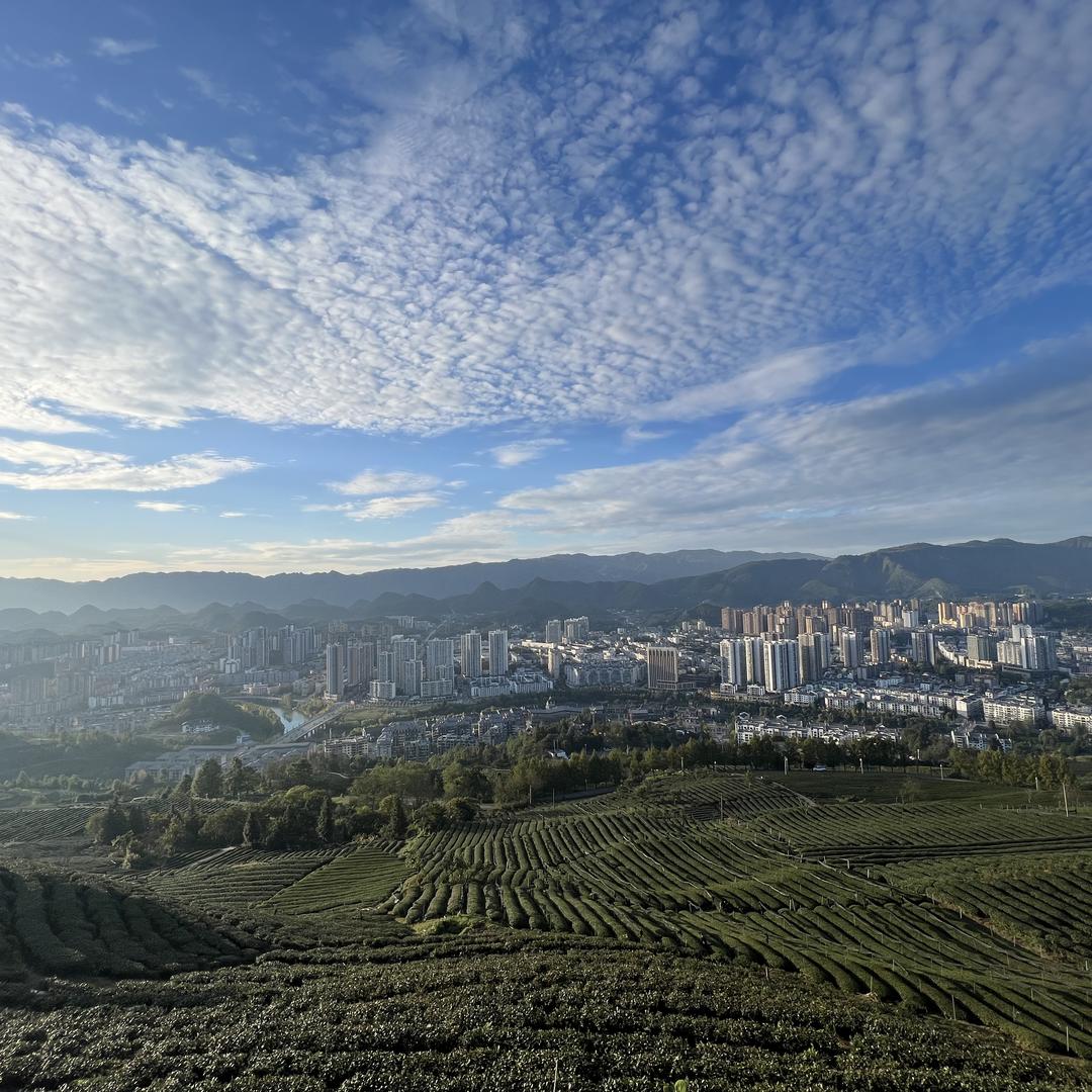 长欣潮款莆田鞋