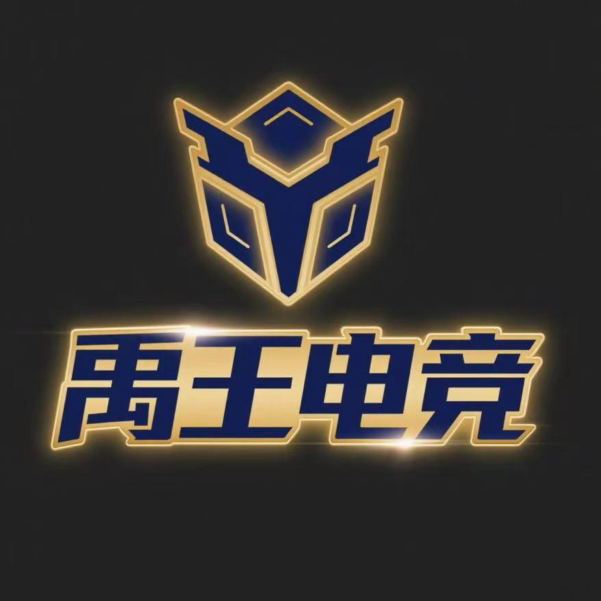 禹王电竞丶阳阳（三角洲行动）