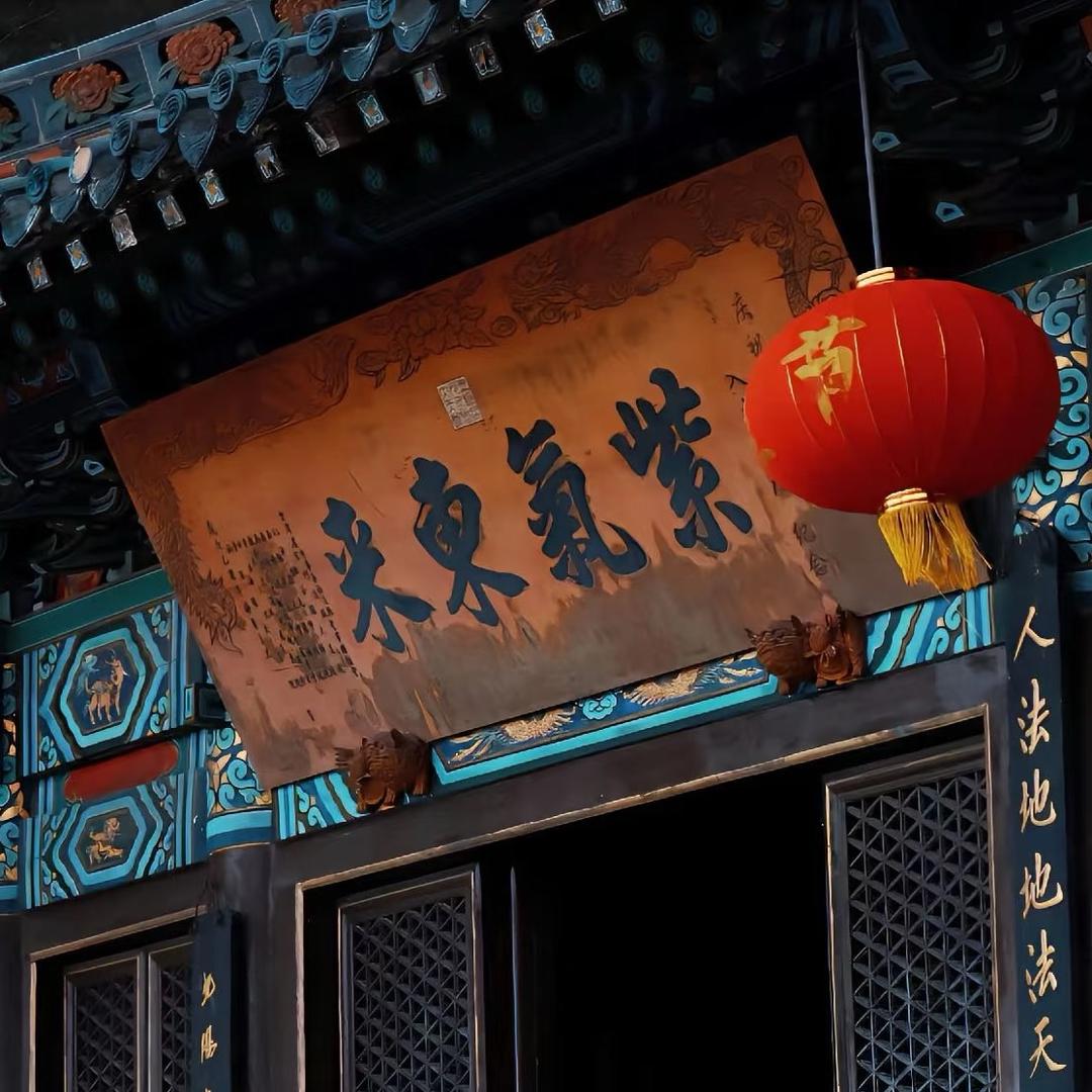 博博在此