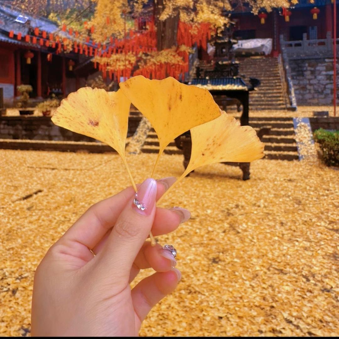 小謎ঞᩚ糊