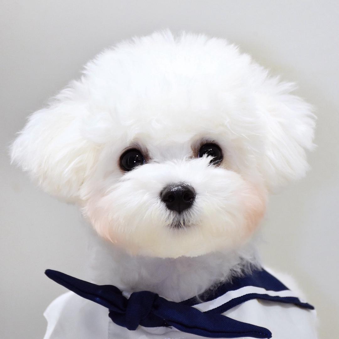 小花花的每一天@抖音