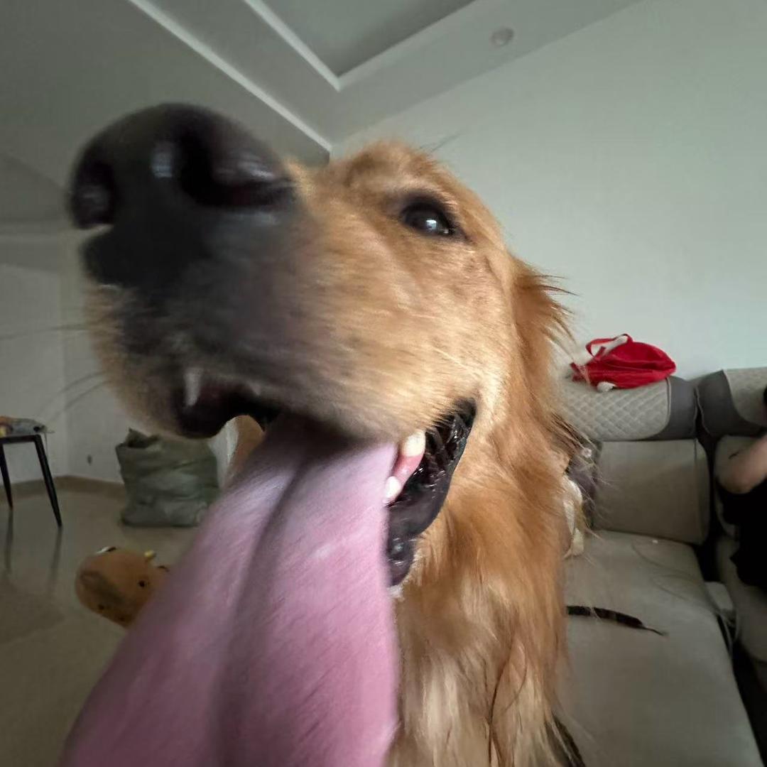 我可是小呆