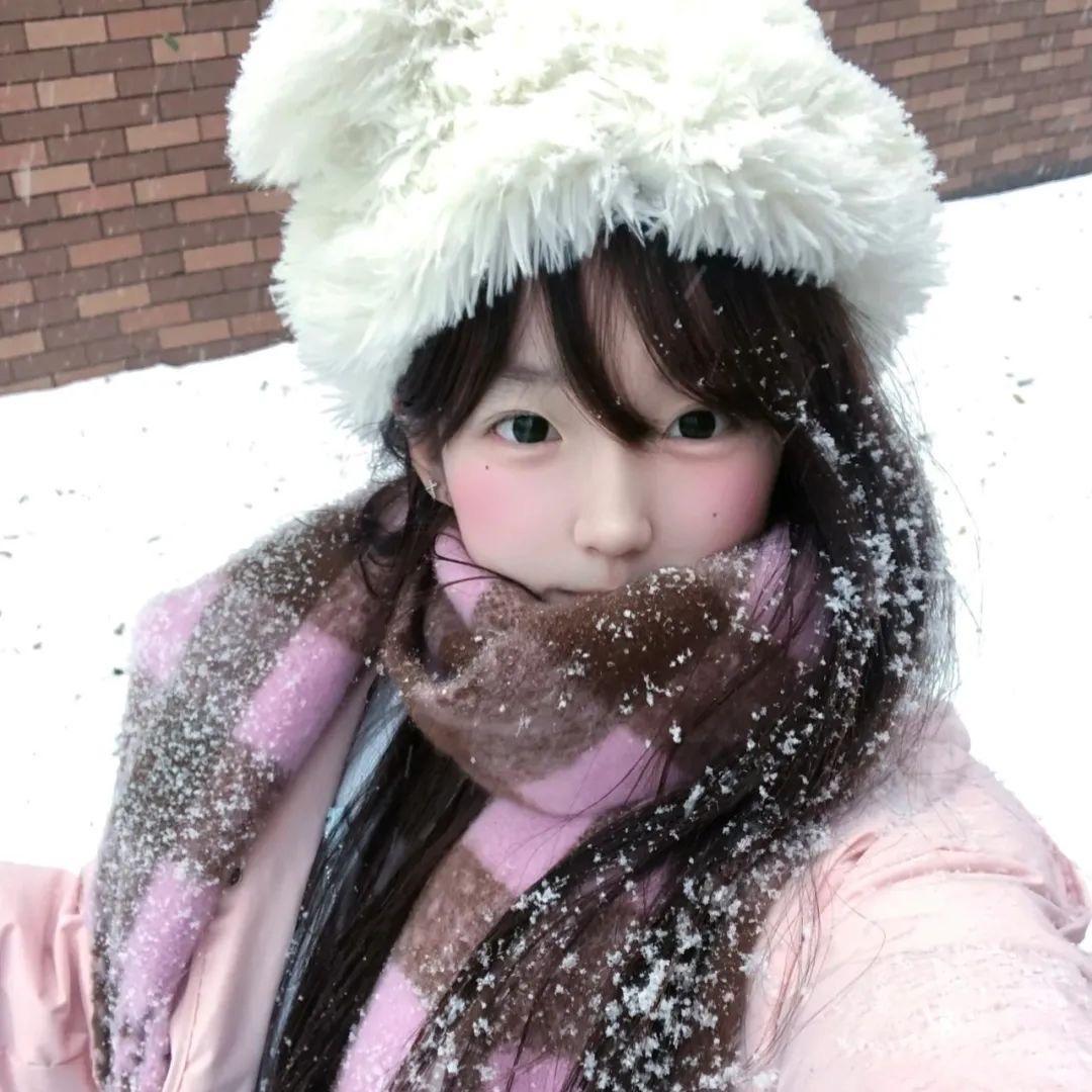 枫🌸
