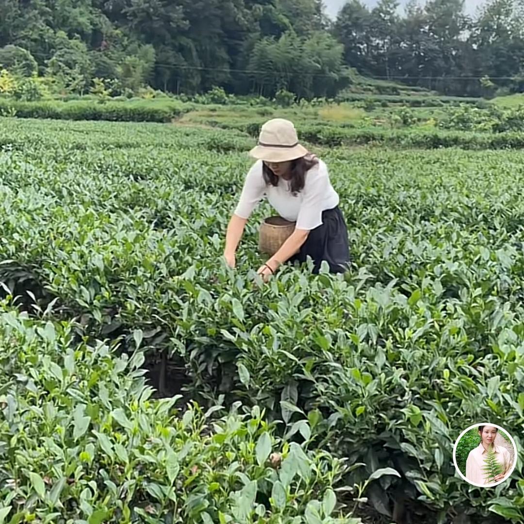 玖里香桃子