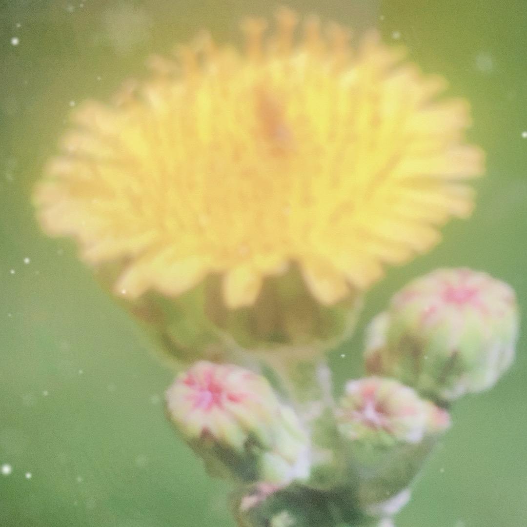 晓虞2️⃣.6.8️⃣，