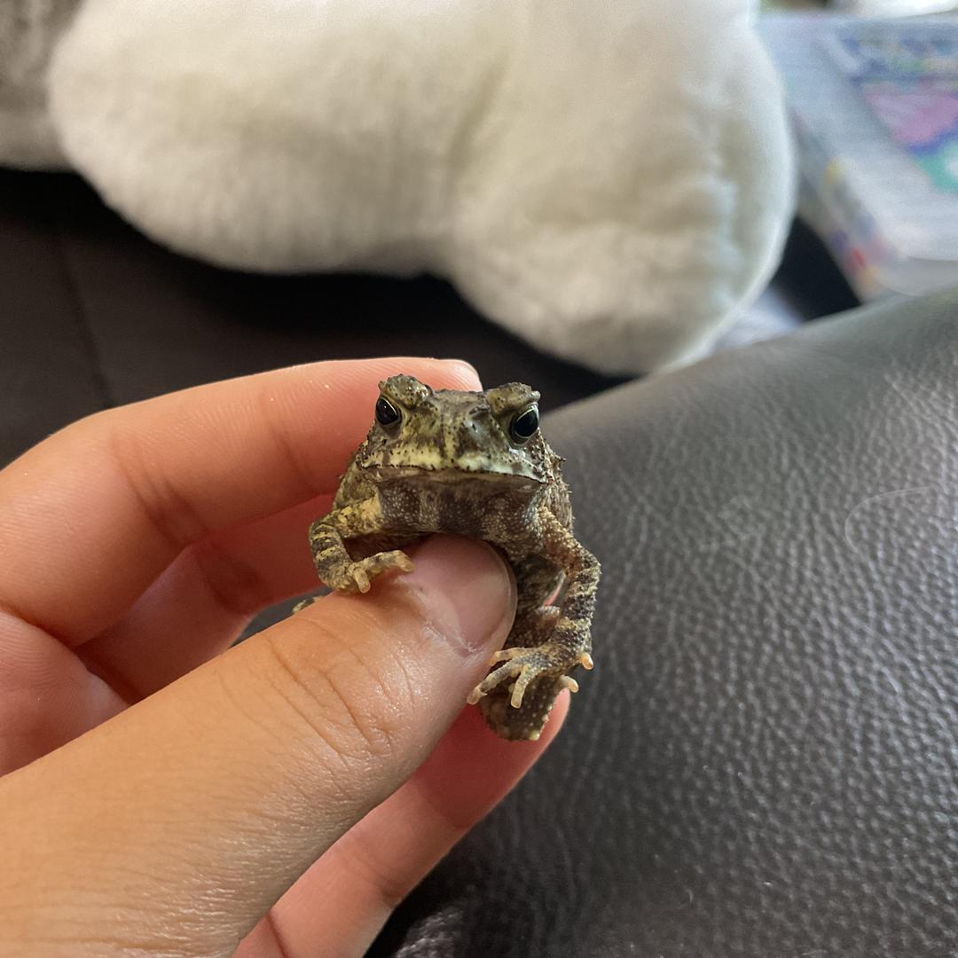 仁顺亚克力板