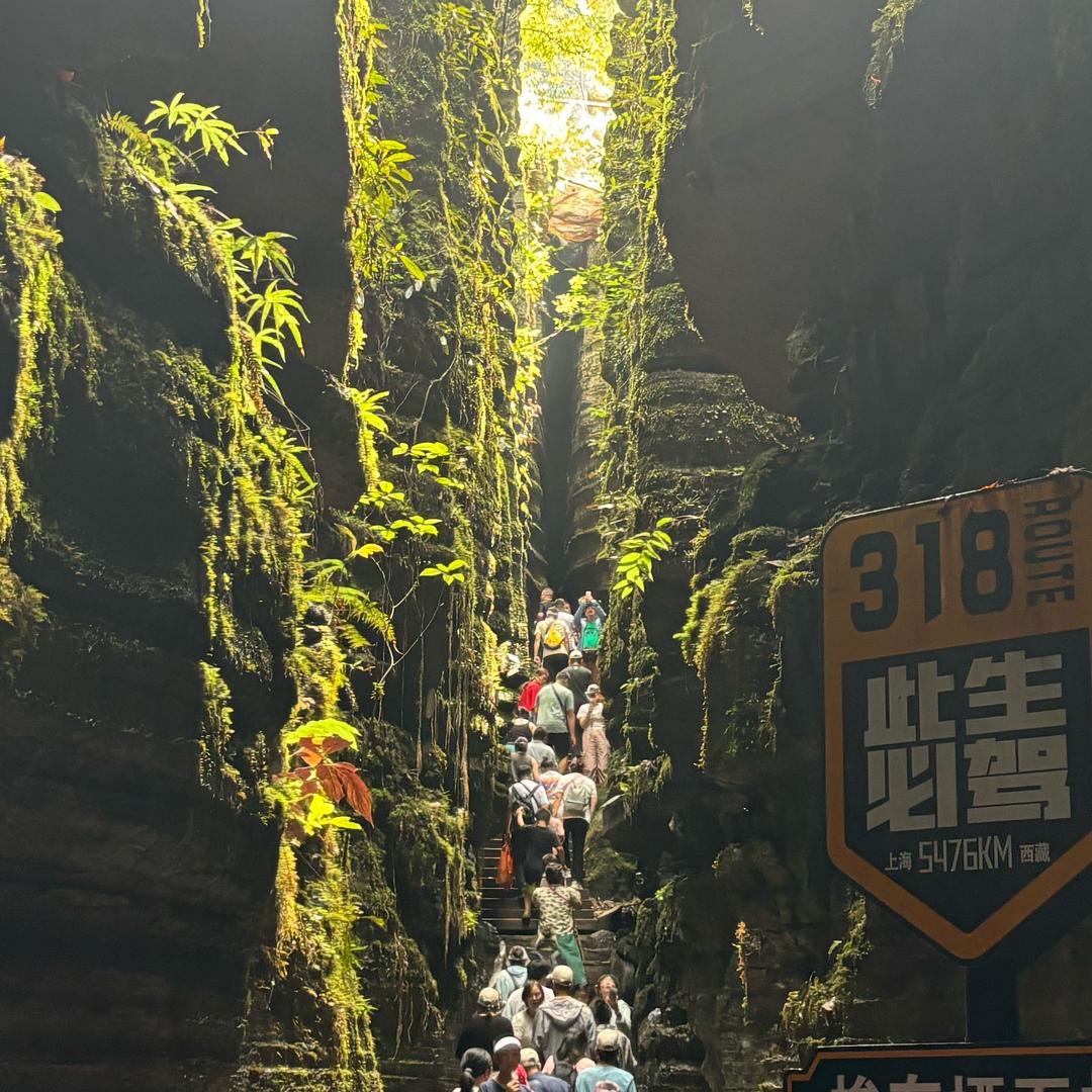 明月清风