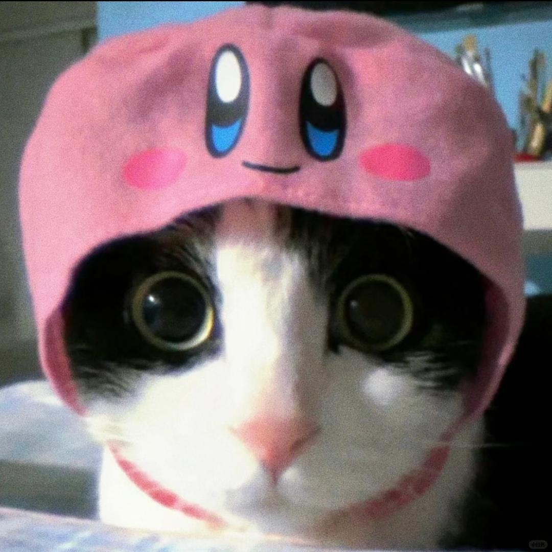 绝情小土猫🐈‍⬛