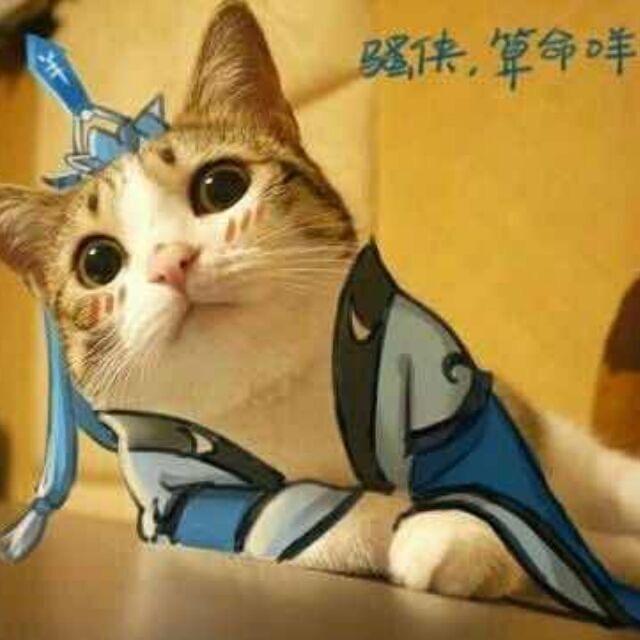 此时，一个靓仔碰巧路过