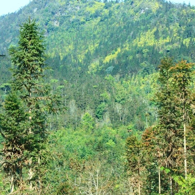 晨曦山货