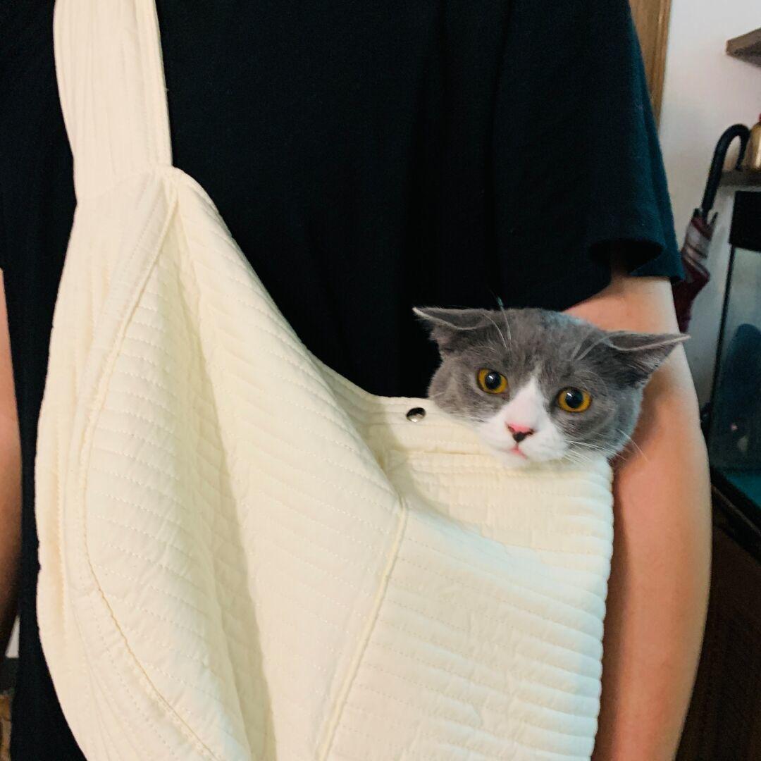 葉師傅”