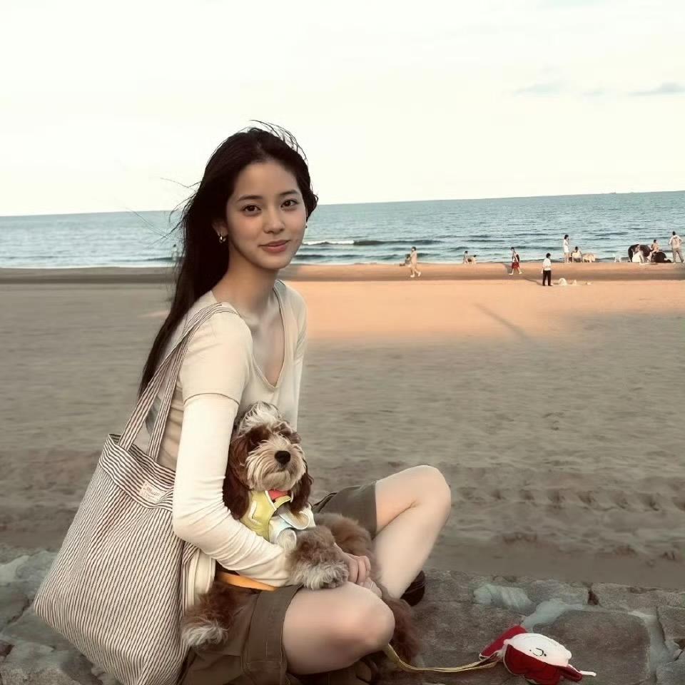 脆脆鲨-
