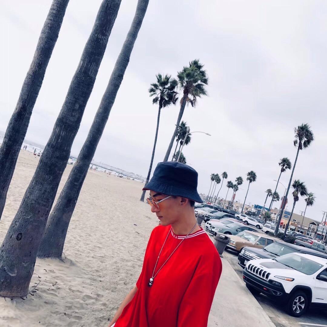 阳关大道明红花朵