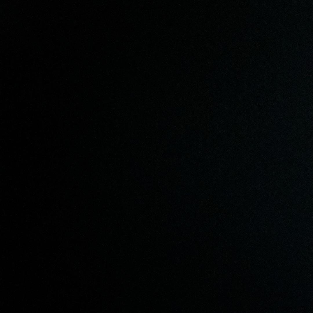 公子原是女红妆