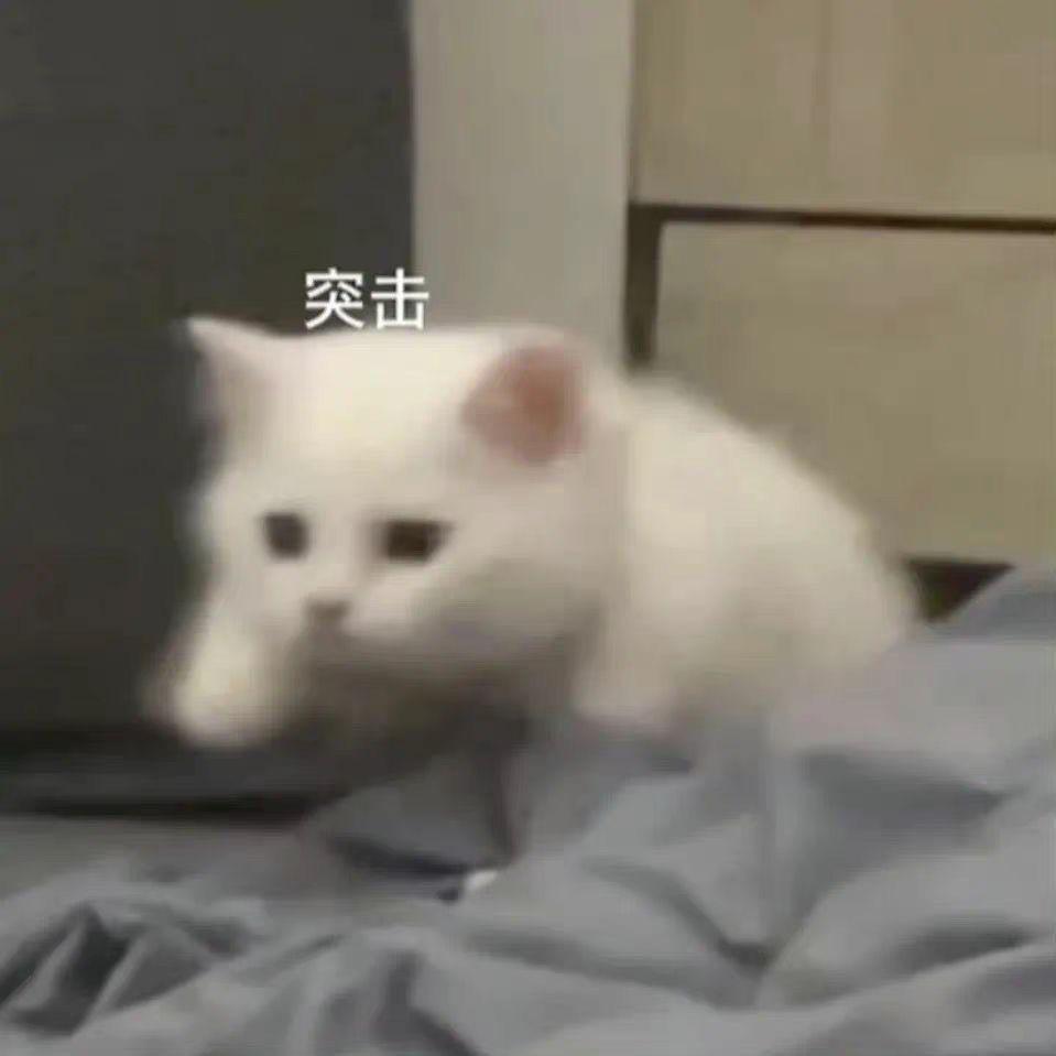 鞋子大王😳