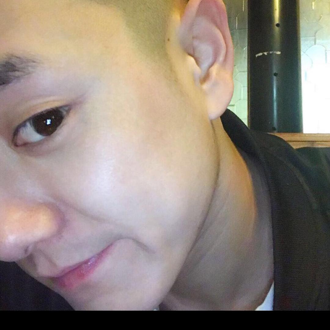皮卡丘历险记