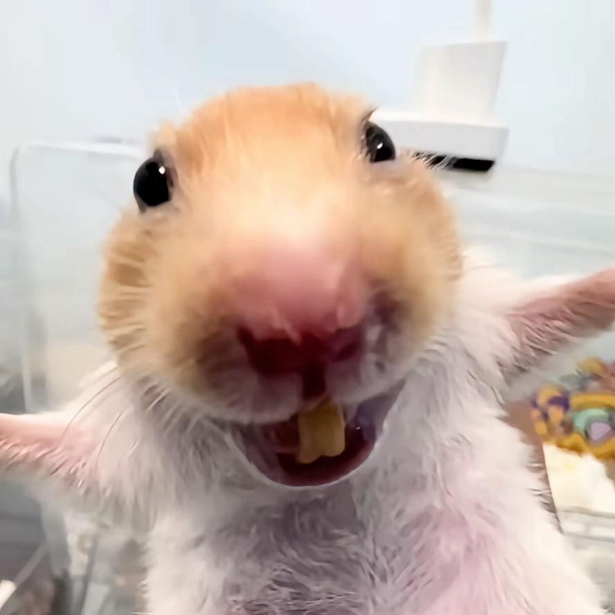 小禹同学🚗🚕🚙