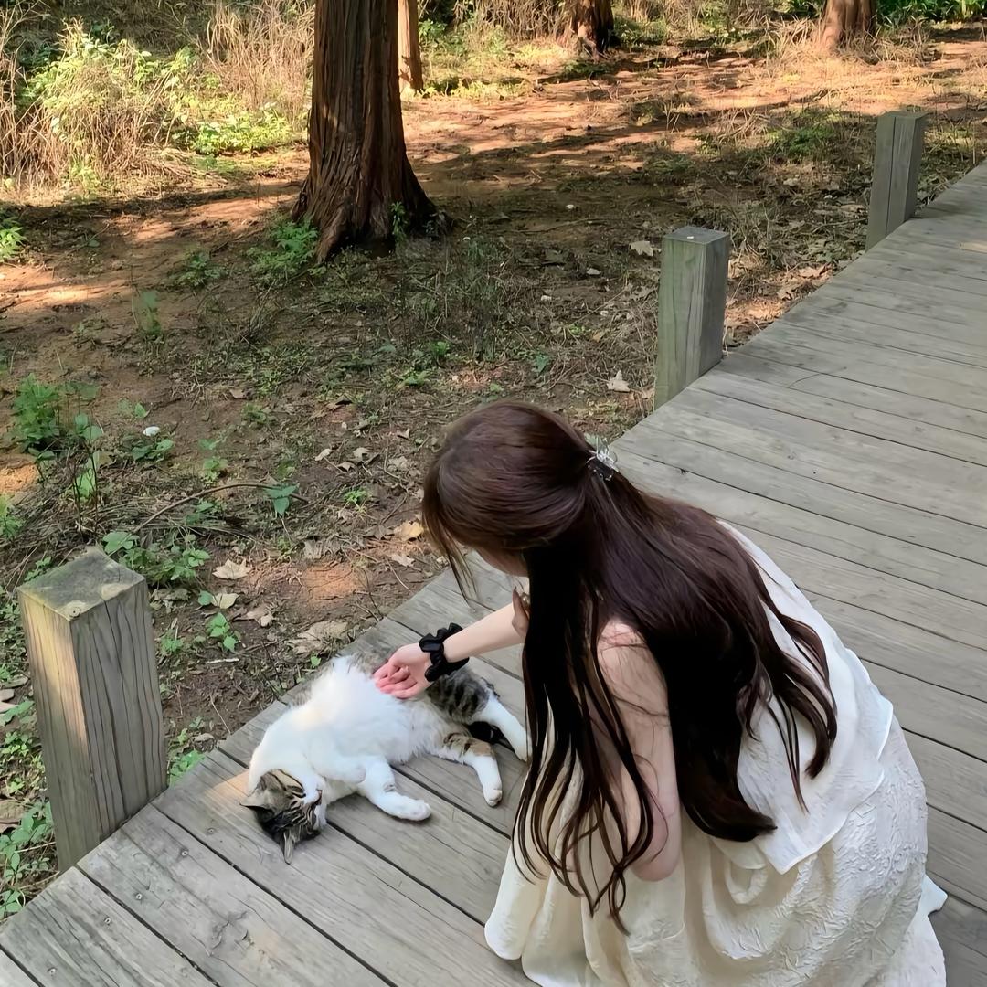糖果爱美食