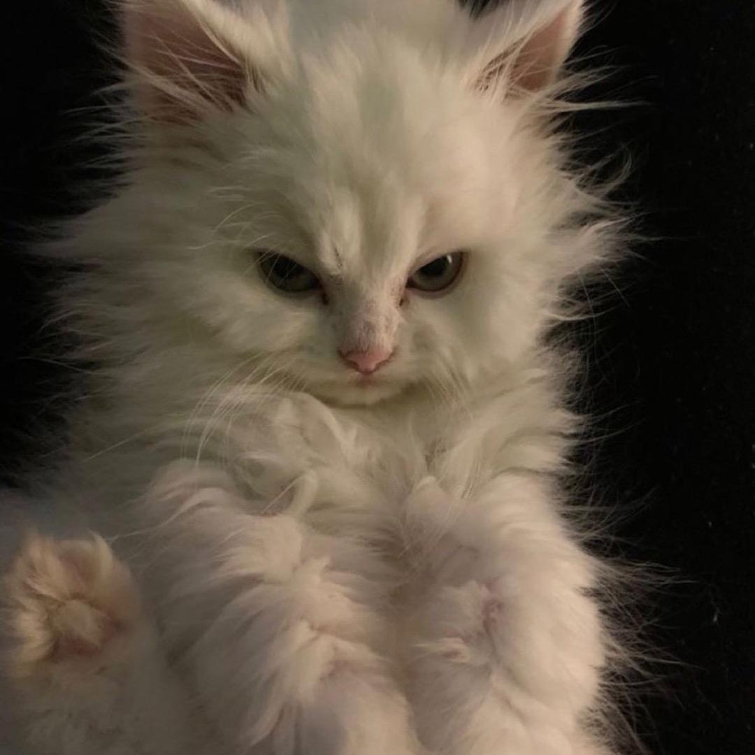 zzzzz.