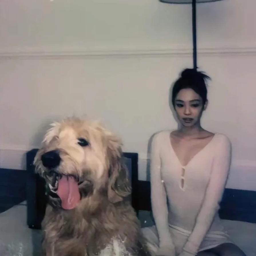 绿的啵