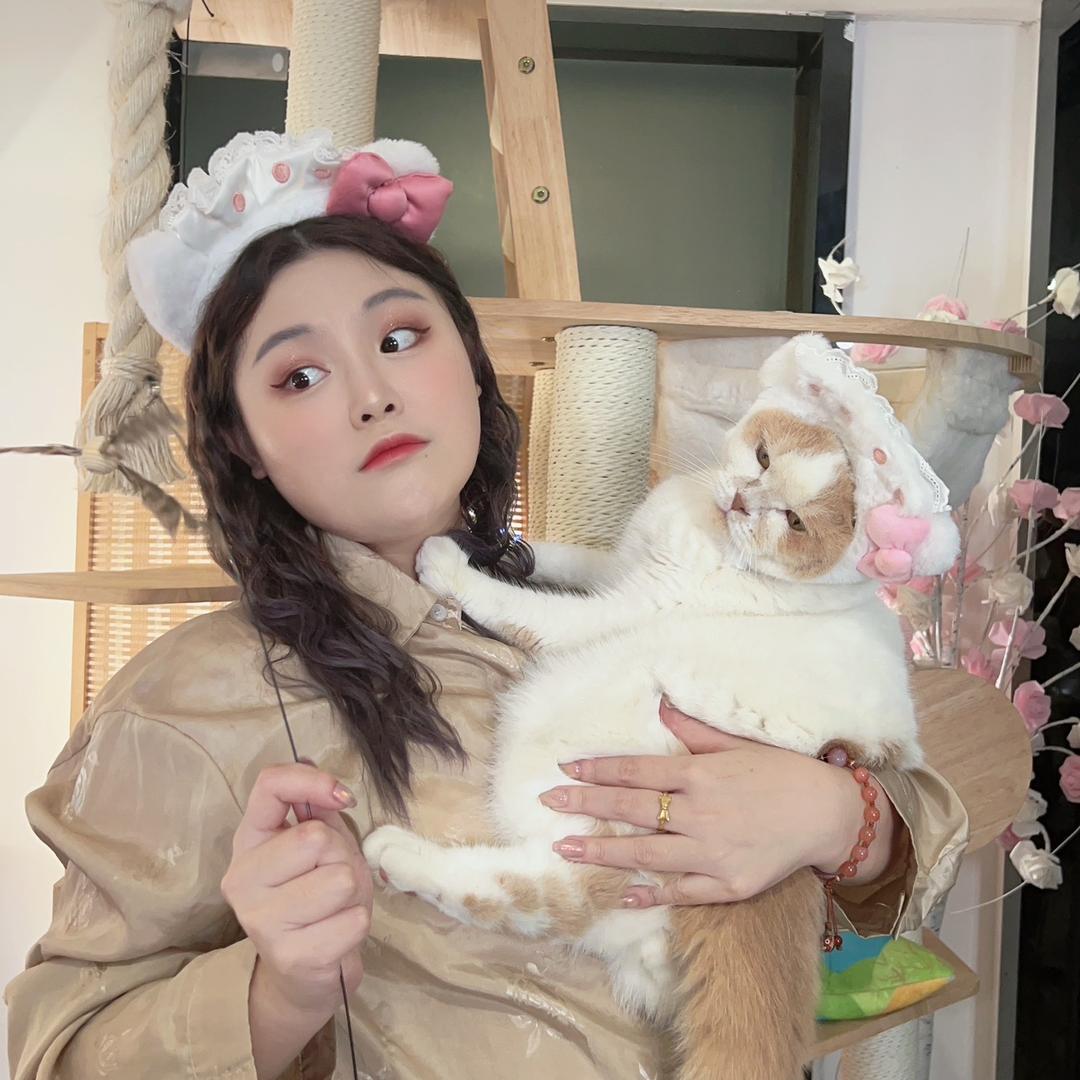 猫奴十三