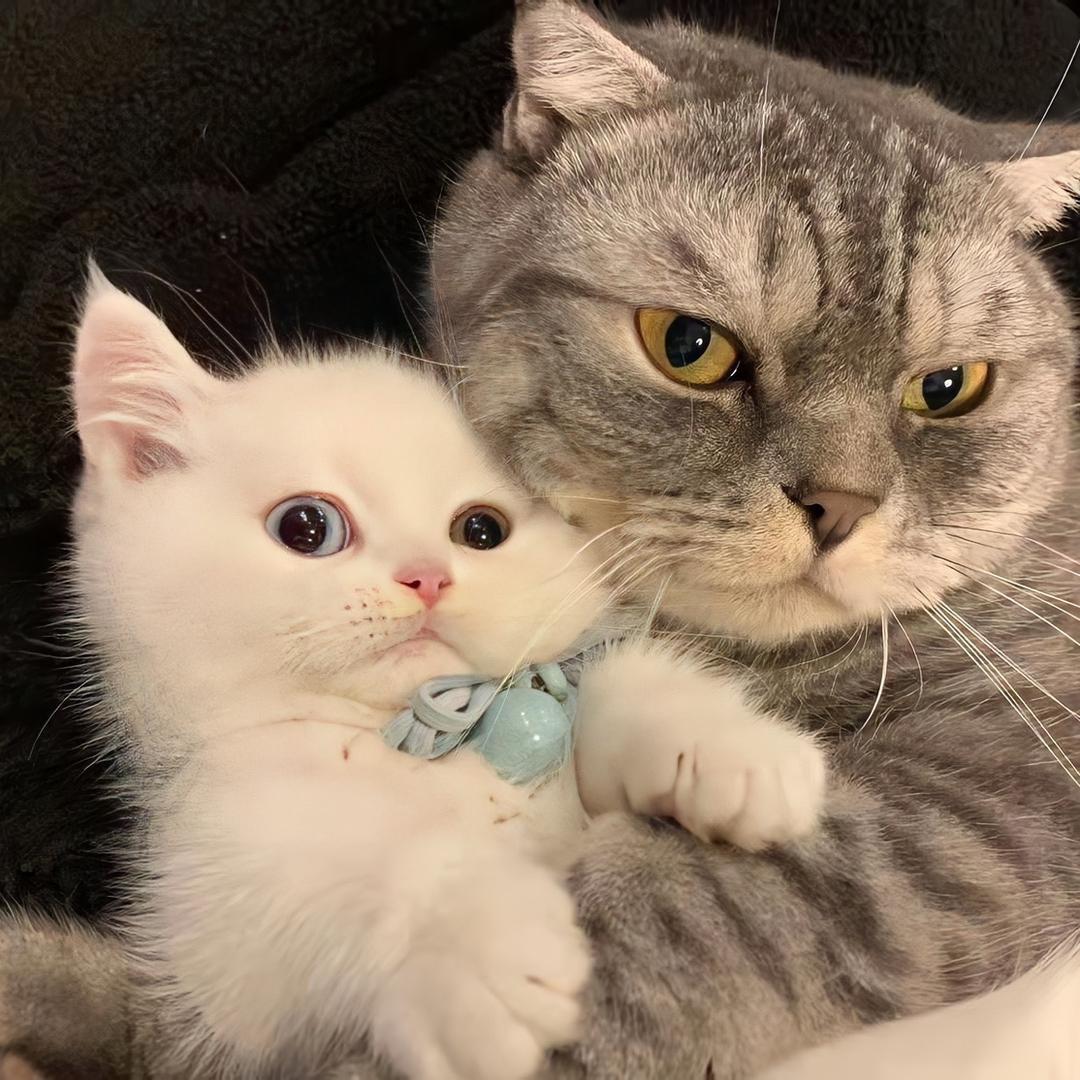 一名渔民们共明明你明明明明明明