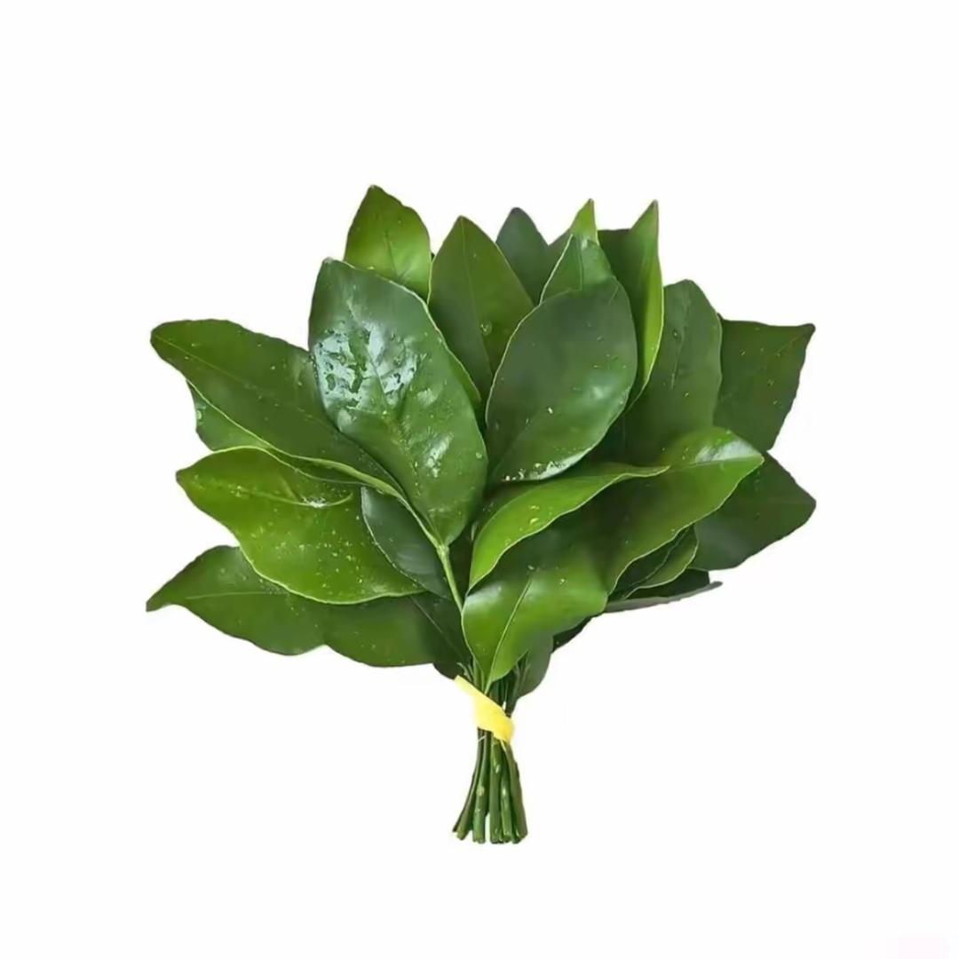 酱紫