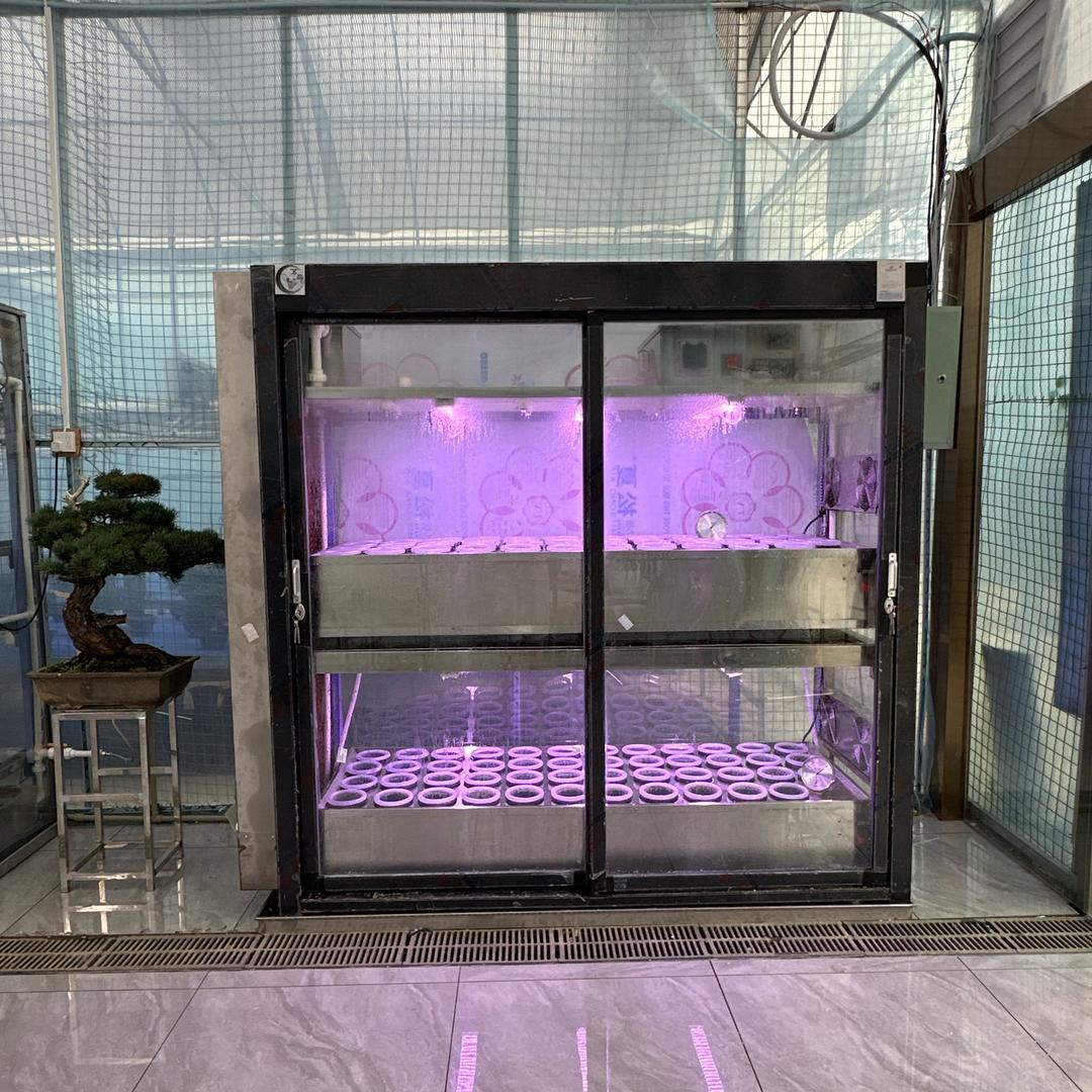 茗品国兰发展有限公司