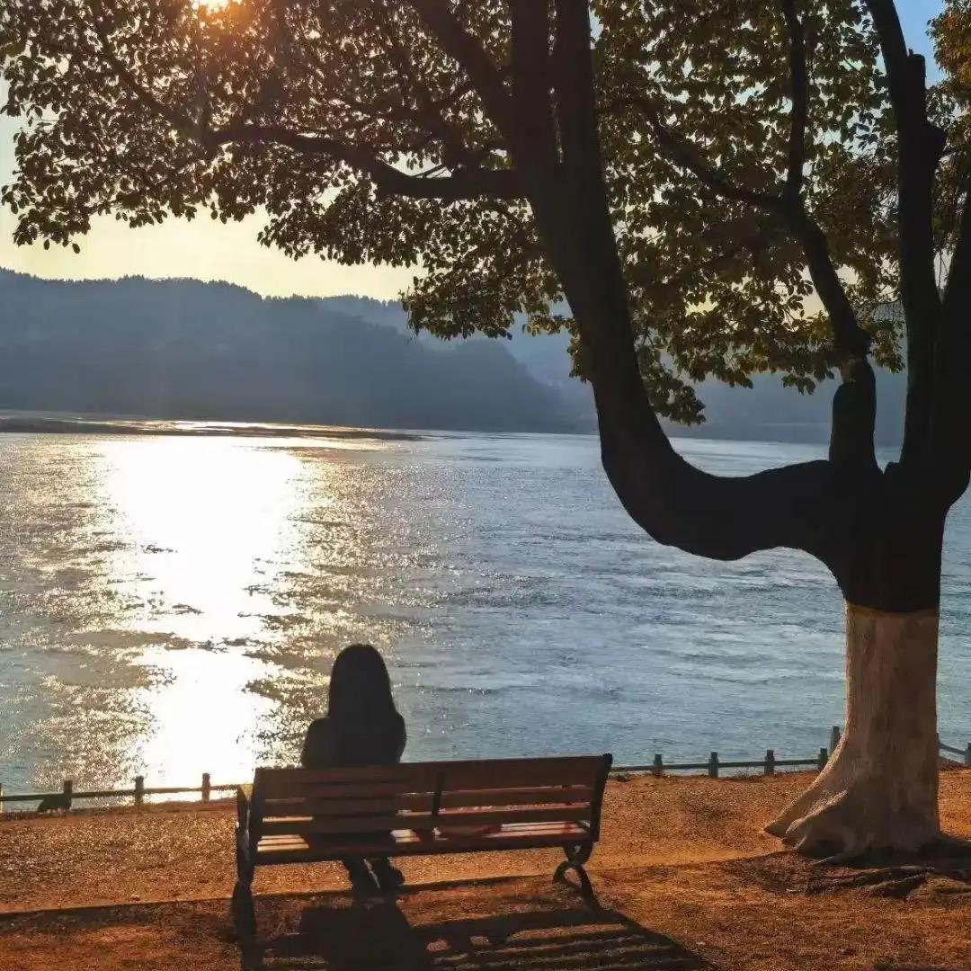 玖安心^. ^食品部