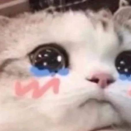 白等等