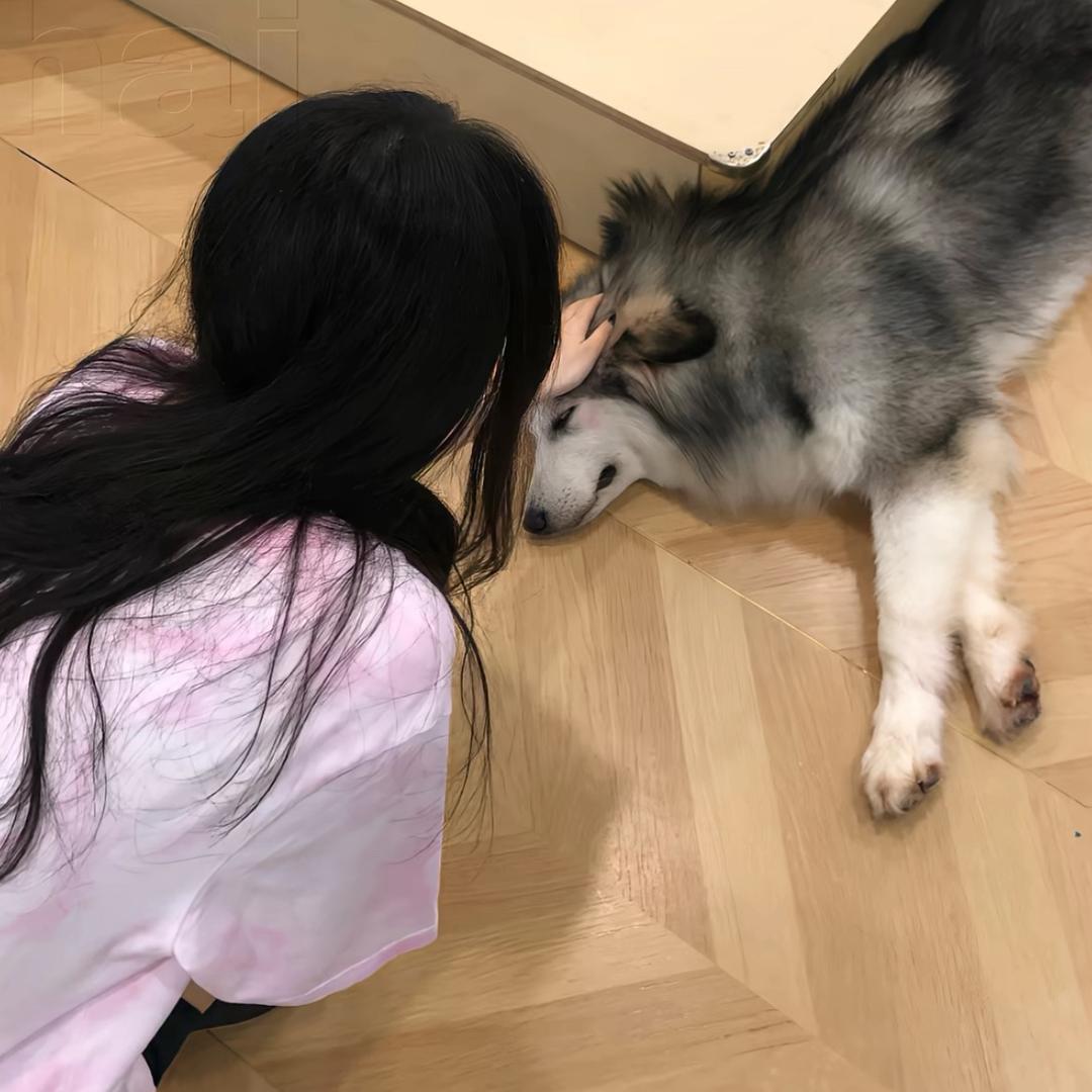 不要哎
