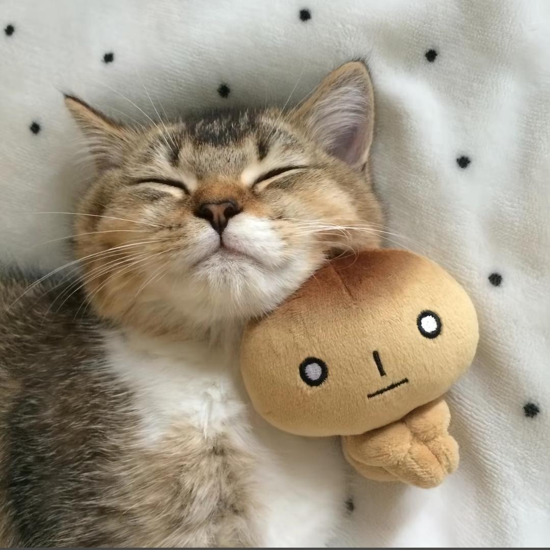 网恋奔现发现男神一米六被我砍成鸡米花