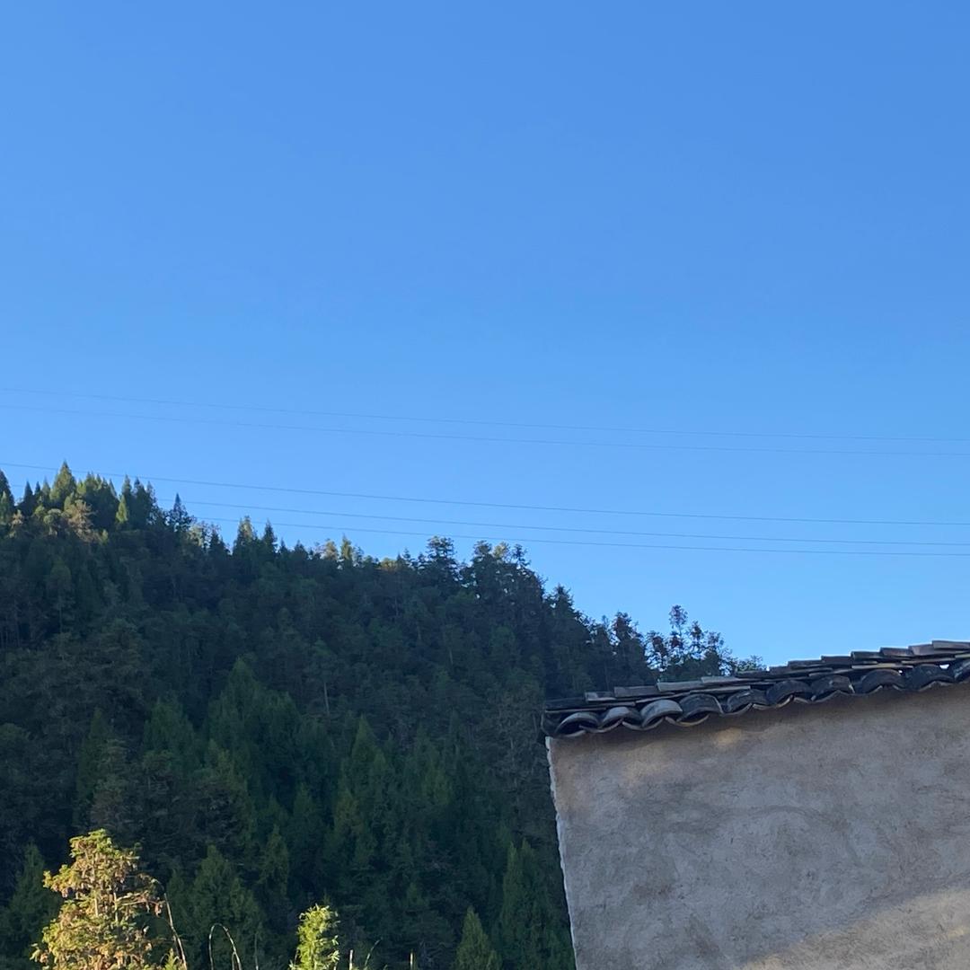 灿金山货