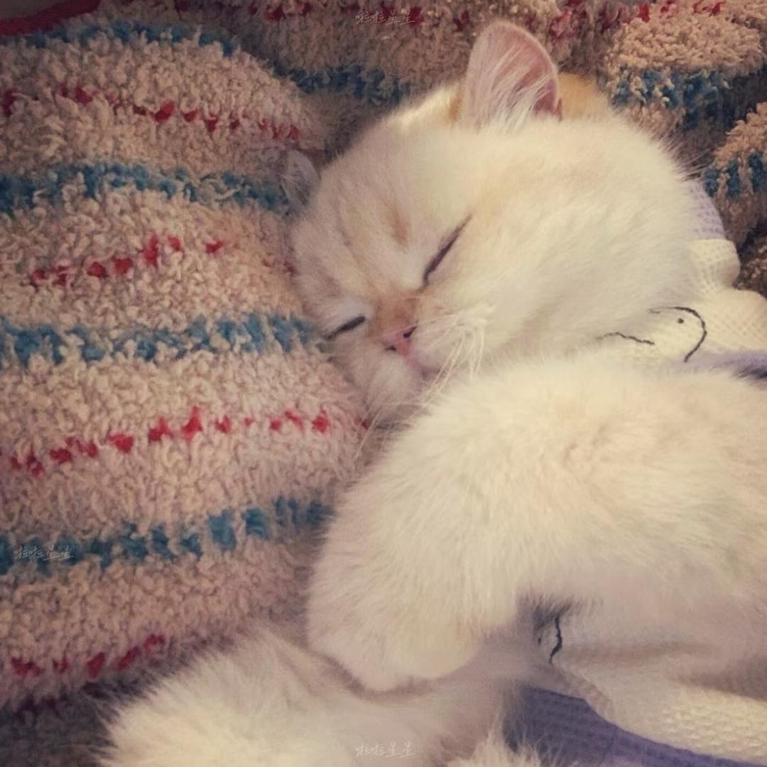 Wee