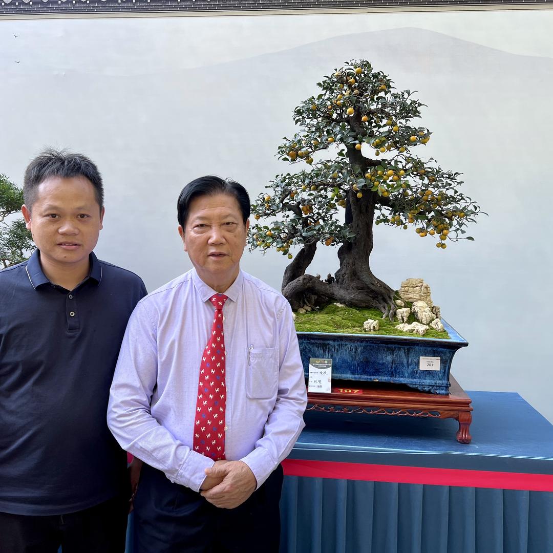 吉首市湘吉缘盆景园