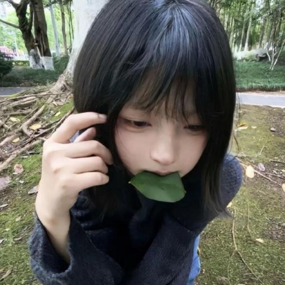 雪❄️.