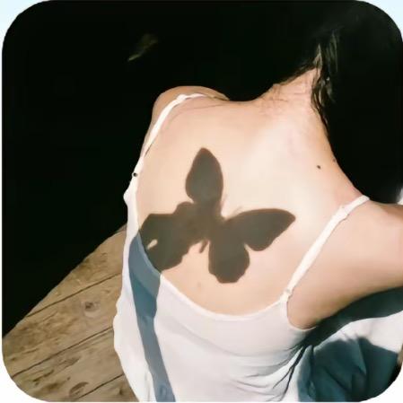 蝶儿