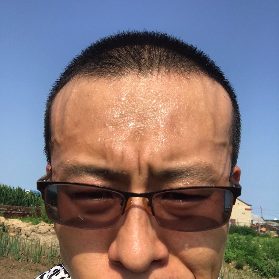 龙小仙