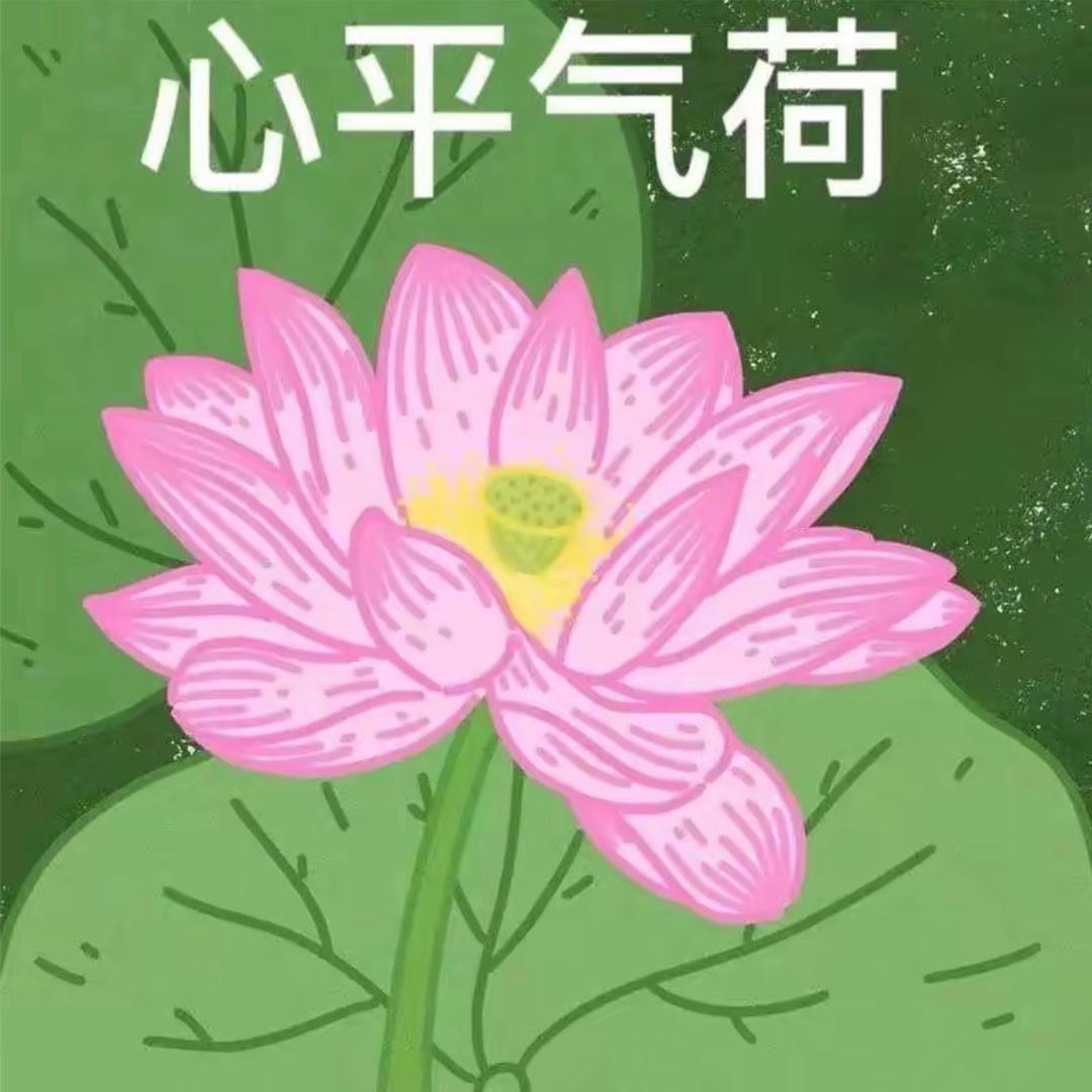 富贵花开