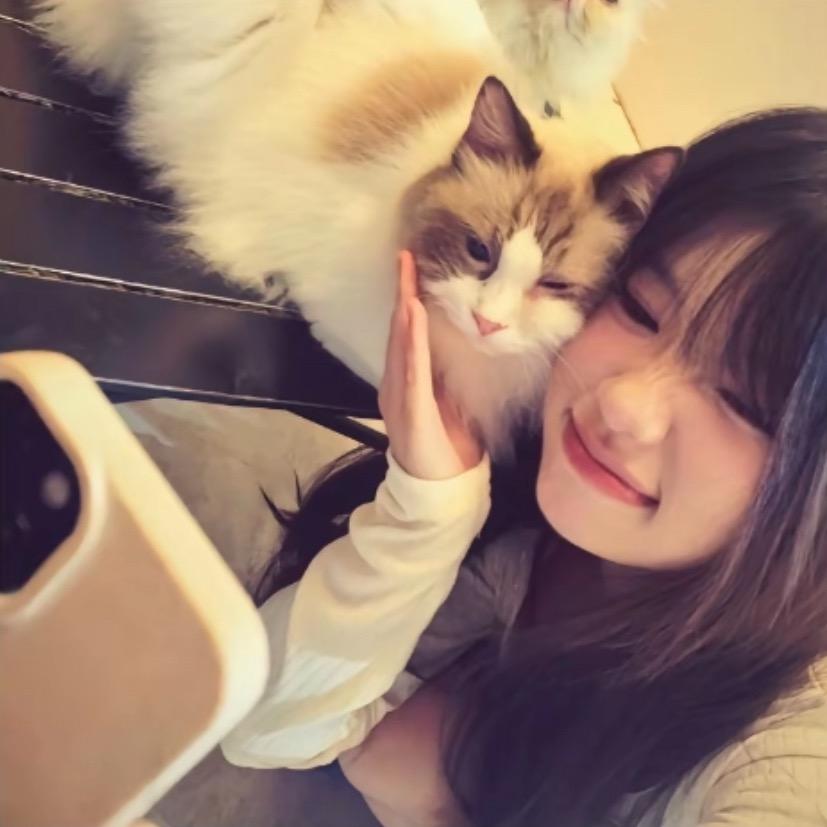 有¹头小猪🐷